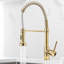 Belfry Kitchen Arradene Pull Down Kitchen Faucet