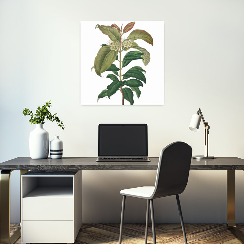 Garden Party II, paysage contemporain abstrait, art naturel, H 18 po x l 18 po