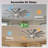 Modern Outdoor/indoor Ceiling Fan With Light And Remote, 12 Double-color Blades With Large Airflow, Quiet Reversible Dc Motor-924055907-924055906-924055909