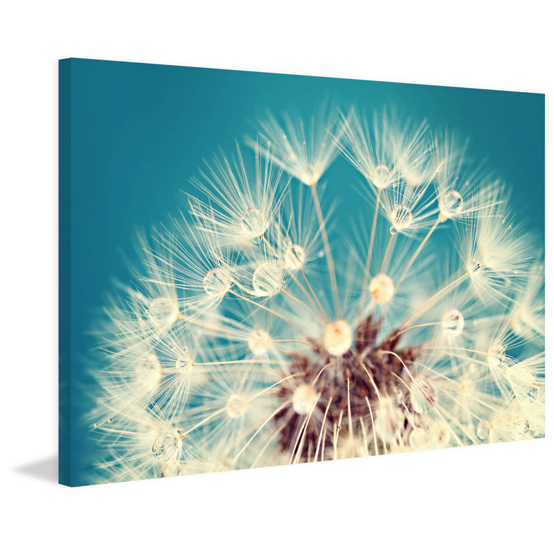 « just dandy » par sylvia cook, reproduction d’art sur toile tendue, H 16 po x l 24 po x P 1,5 po