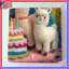 Couvre-lit Felt Llamas Birthday Cake Bedding Birthday-125235285