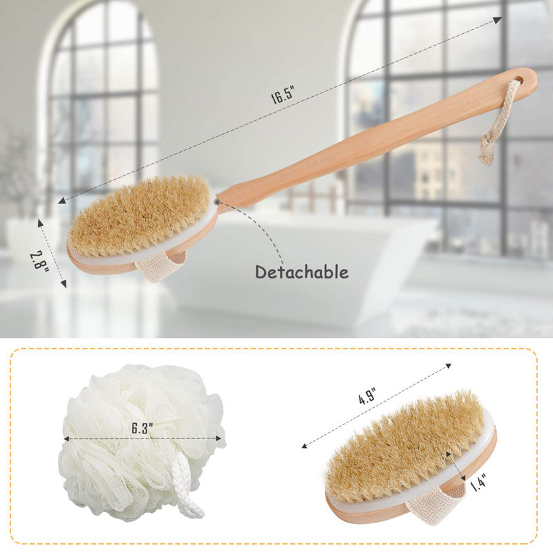 Alexzandyr brosse pour le corps