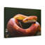 No Frame Print on Canvas