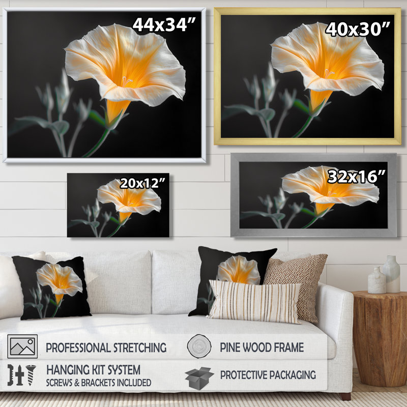 «White Yellow Whimsical Wonders Morning Glory - Morning Glory», reproduction d'art murale, Cadre flottant blanc