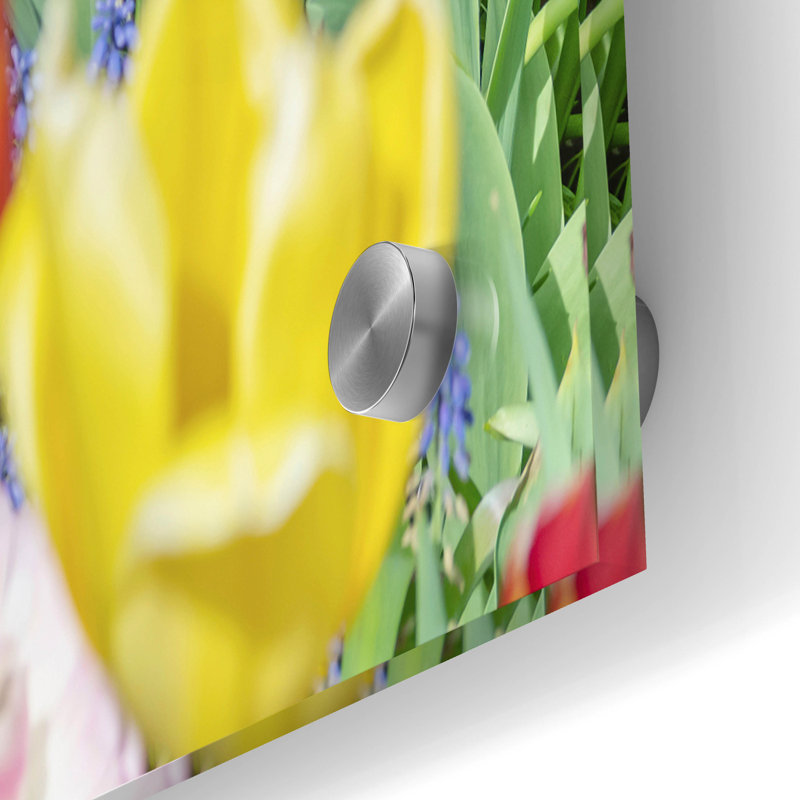 "Tulipes Kuekenhaus I" par Richard Silver, H 24 po x l 36 po x P 0,2 po