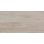 Carreau de sol en porcelaine émaillée 12 x 24 Daltile Articulo (9 pièces par carton) (17,60 pieds carrés par carton)-130700873