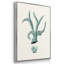 Antique Coastal Coral X, impression sur toile 3 pièces-91887657-91887660
