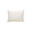 Lumbar Pillow Cover & Insert-72109746