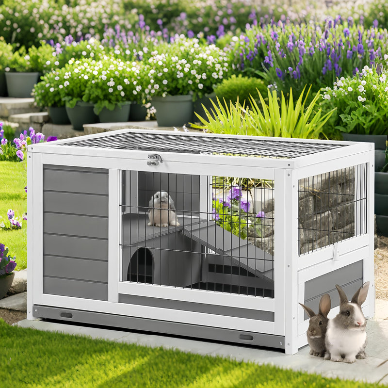 Cage à lapin