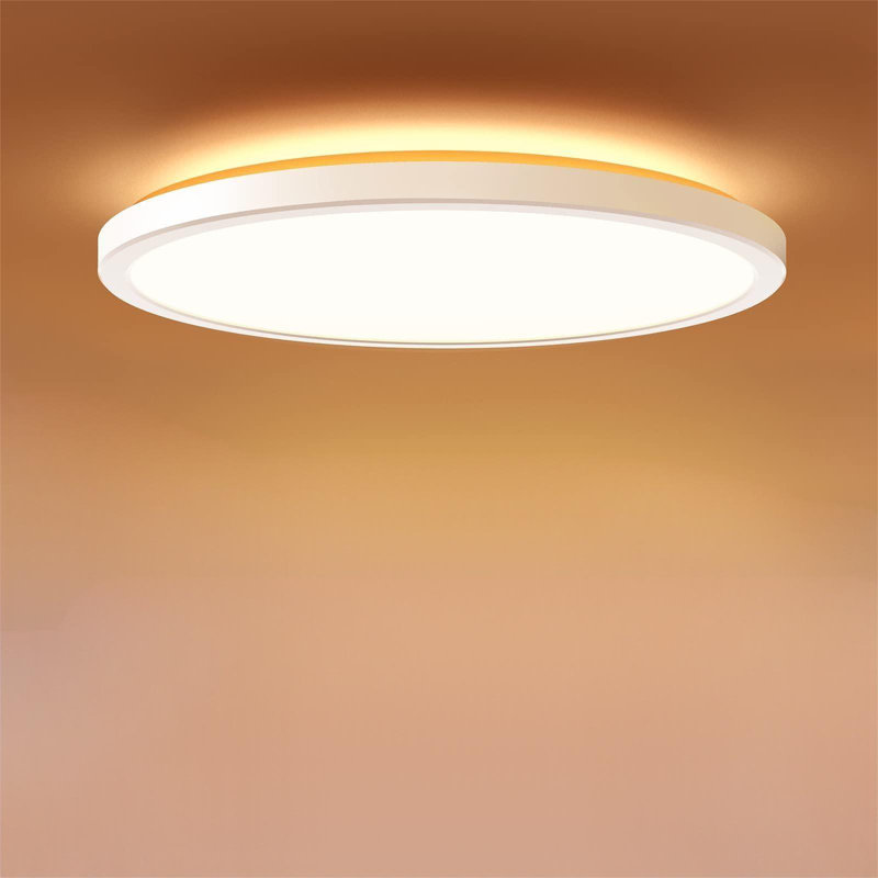Dimmable LED Flush Mount Ceiling Light Fixture With Remote Control, 12Inch 24W 3000K-6500K Light Color Adjustable, Modern Ultra-Thin Ceiling Lamp For Bedroom Kitchen, Wired