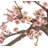 Cherry Blossom Bonsai Tree
