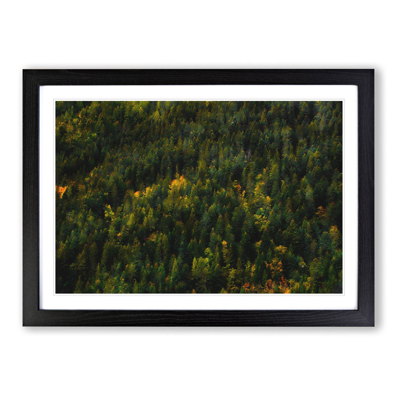 Autumn Forest in Switzerland - Picture Frame Painting Print, 24cm H x 33cm W x 2cm D, Black