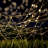 Garette Outdoor Solar String Lights Two 100 LED Strings of Warm White Fairy Twinkle Lights with 8 Modes for Patio, Yard, and Events by Pure Garden