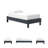 Taranique Platform Bed-1020106559