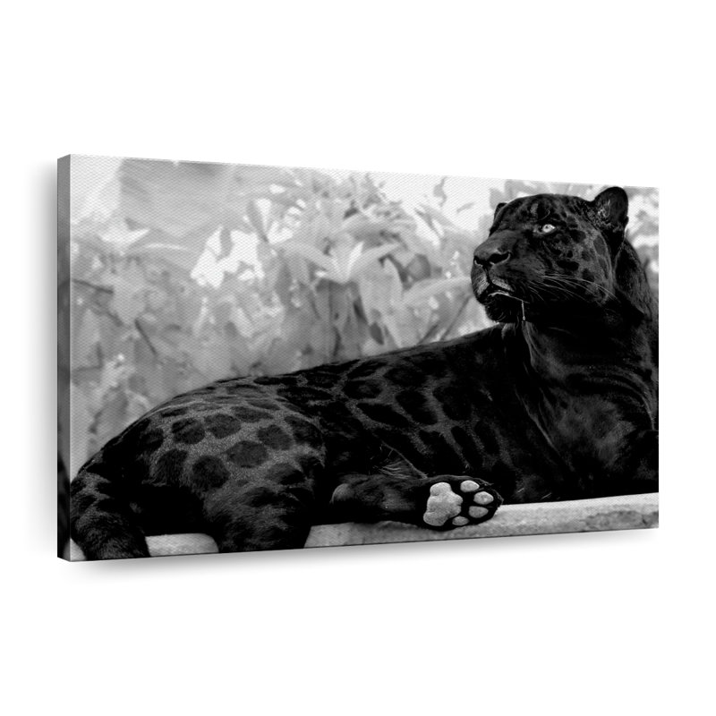 «Black Panther» monochrome sur toile, H 8 po x l 12 po x P 1 po