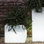 Cubotti Planter