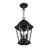 3 - Light Outdoor Pendant