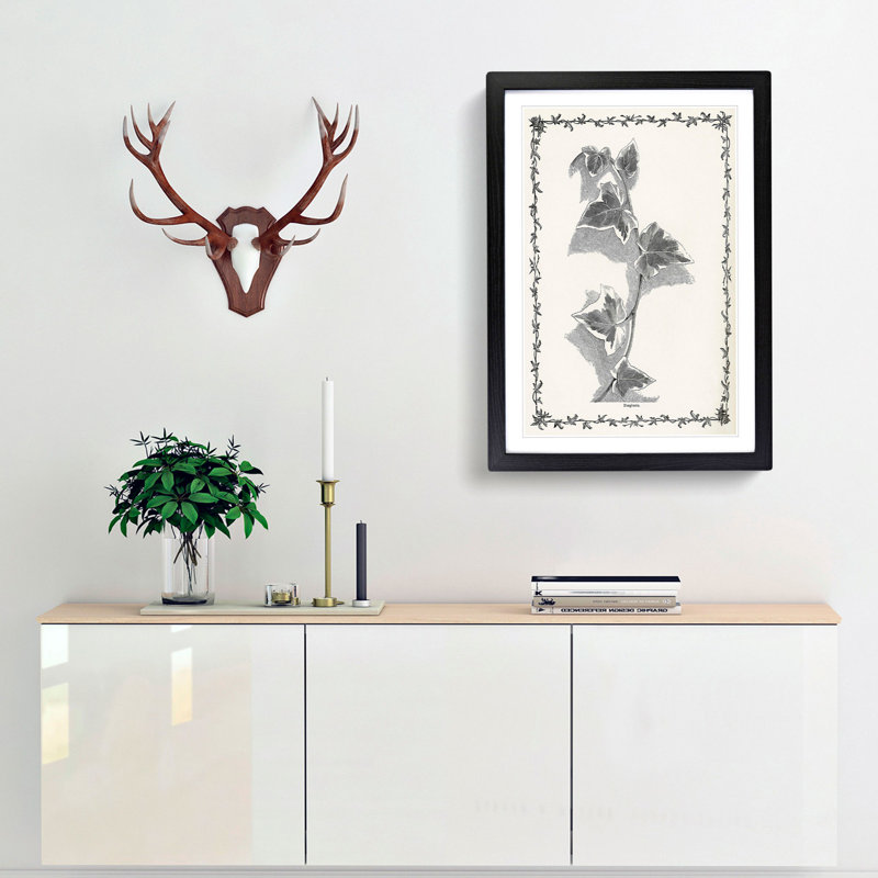 Ivy Marginata by Shirley Hibberd - Framed Print, 48cm H x 36cm W x 2cm D, Black Framed
