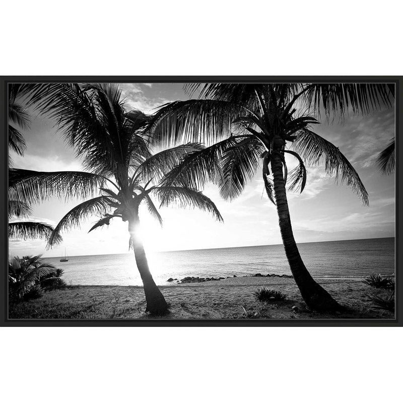 BW Bimini Sunset par Susan Bryant - photographie, Cadre flottant noir, H 27,5 po x l 43,5 po x P 2 po