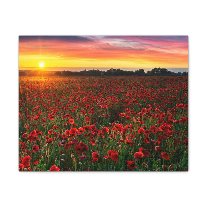 No Frame Print on Canvas, 18cm H x 24cm W