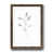 Walnut Framed Paper