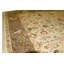 Chantel Oriental Area Rug