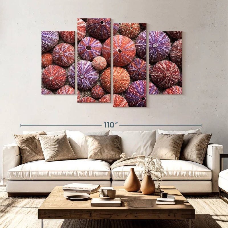 Brampt Empty Sea Urchin Shells, 54" H x 84" W