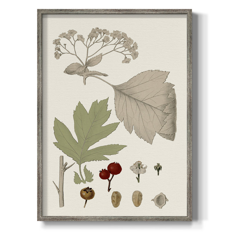 Feuilles et baies II, reproduction encadrée - bois massif, H 11 po x l 9 po