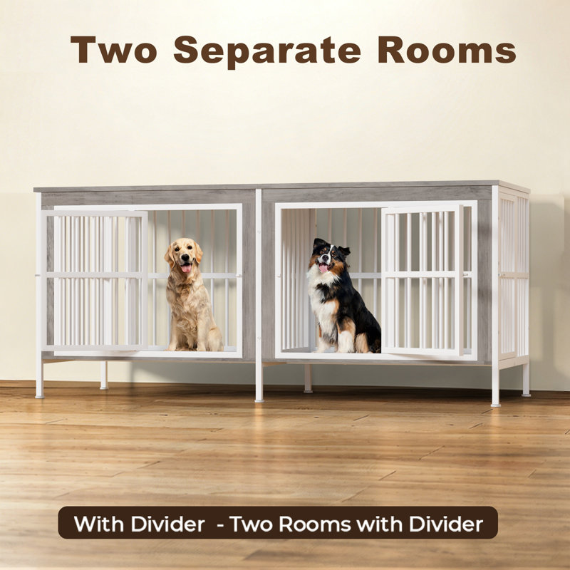 78 po double cage de style chien avec cloison, grand chenil en bois robuste pour 2 chiens de taille moyenne et grande, chenil d'intérieur pour table de bout XL