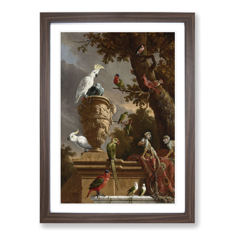 Menagerie by Melchior D'Hondecoeter - Framed Print, Walnut Framed, 65cm H x 48cm W x 2cm D