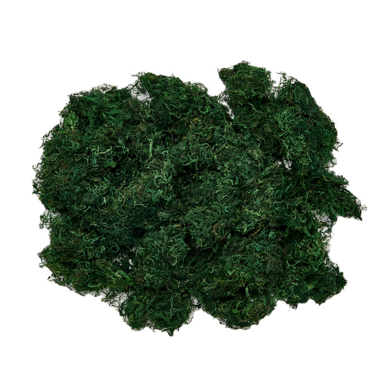 Mousse verte naturelle, 21 oz pour plantes en pot et artisanat