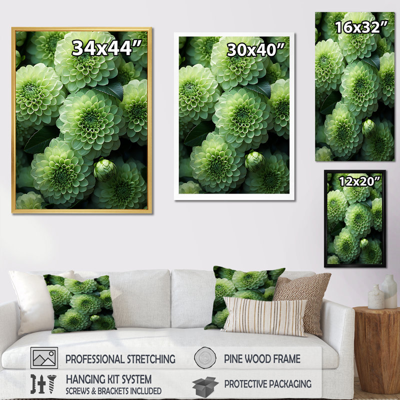 Zinnias vert crépuscule I, Cadre simple noir, H 40 po x l 30 po x P 1,5 po