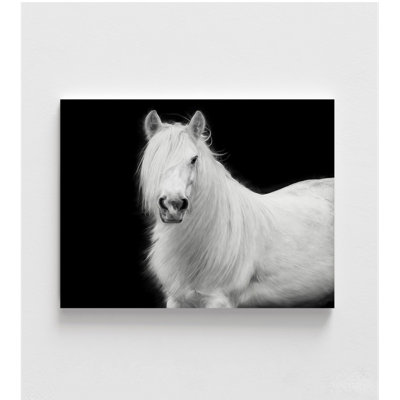 Equine Portrait V By Phburchett, White Horse Poster Print, White Horse Mane Photography Print, Rustic Horse Picture Print