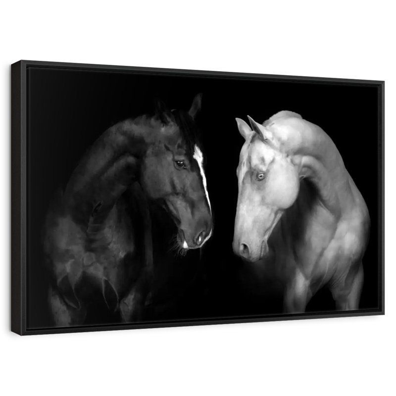 Chevaux monochromes, Cadre flottant noir, 40 po x 27 po