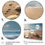 Seaside Seashell Treasures I - impression-88548018-88548023