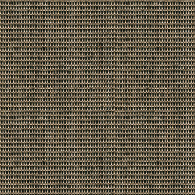 Scale Fabric
