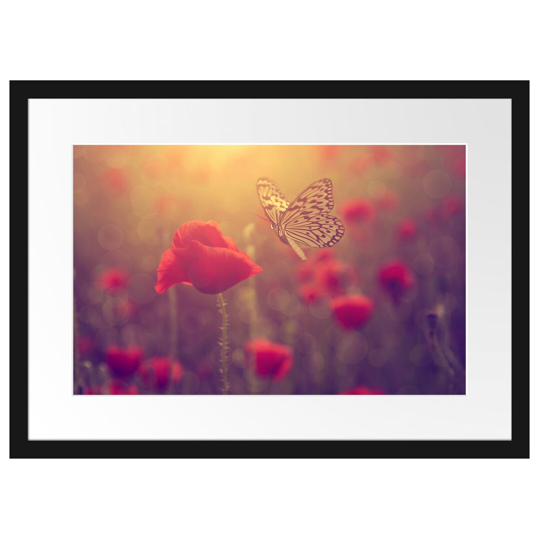 Gerahmtes Poster Mohn und Schmetterling