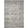 Spragueville Oriental Viscose Hand Woven Area Rug