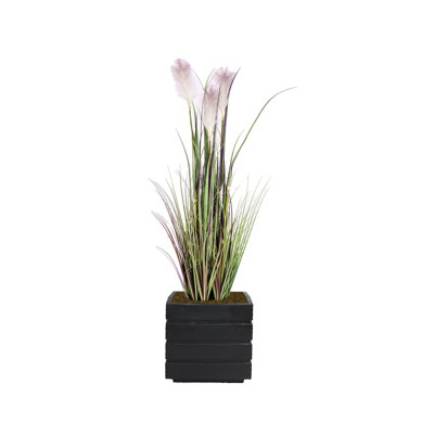 Plante en faux roseau 54 po