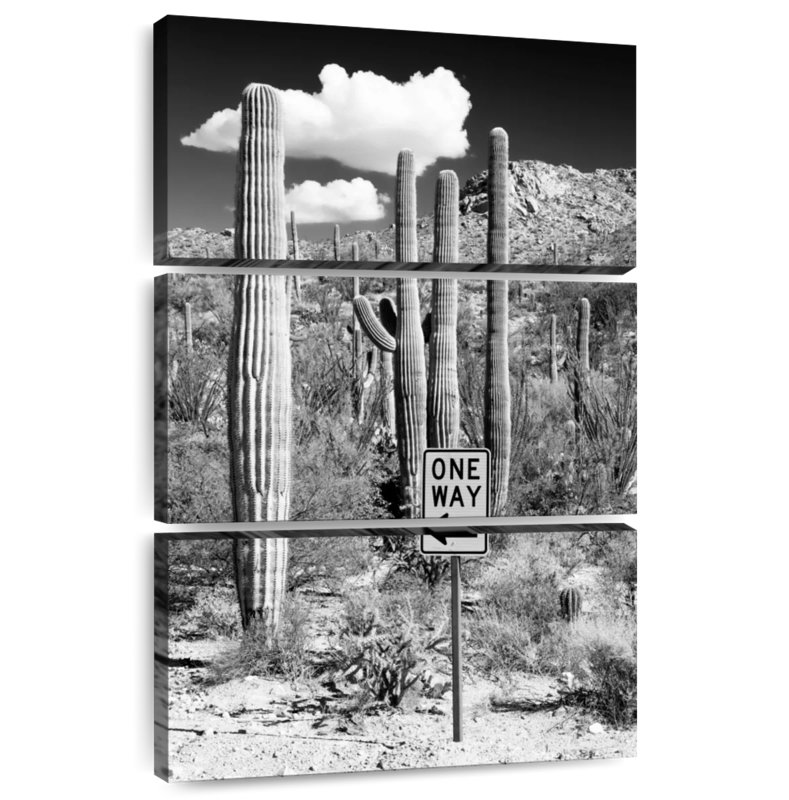 Harnek Black Arizona - Cactus One Way, 32" H x 20" W