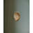 Alexine Wall Sconce