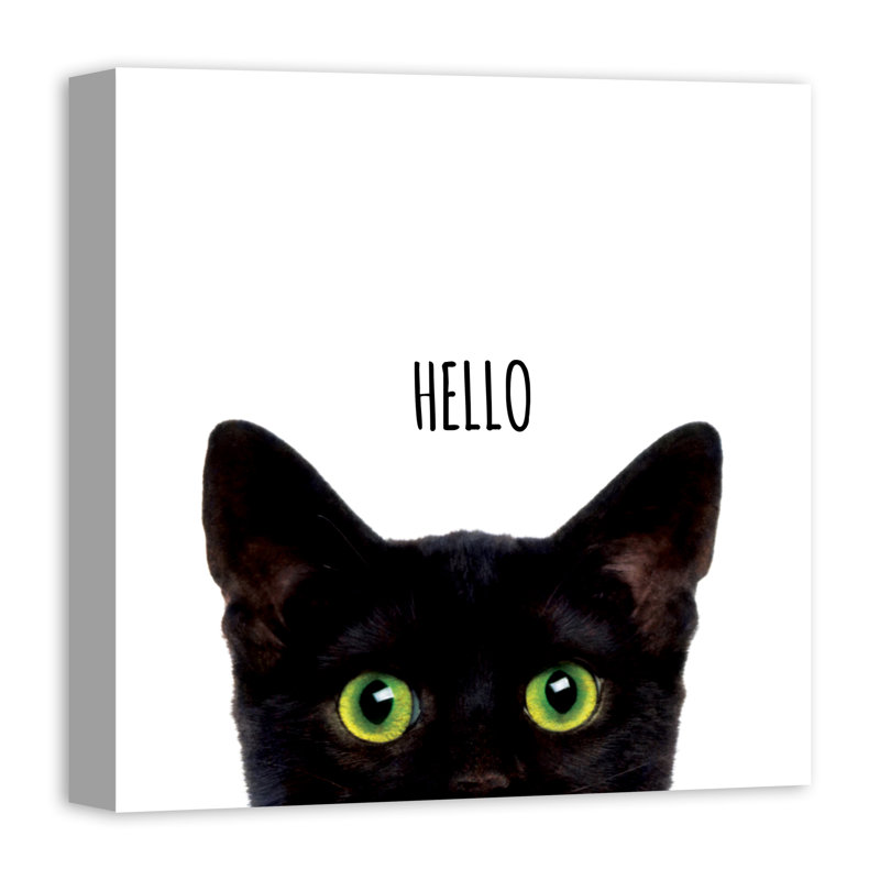 Curious Hello Black Cat - impression sur toile tendue, H 12 po x l 12 po