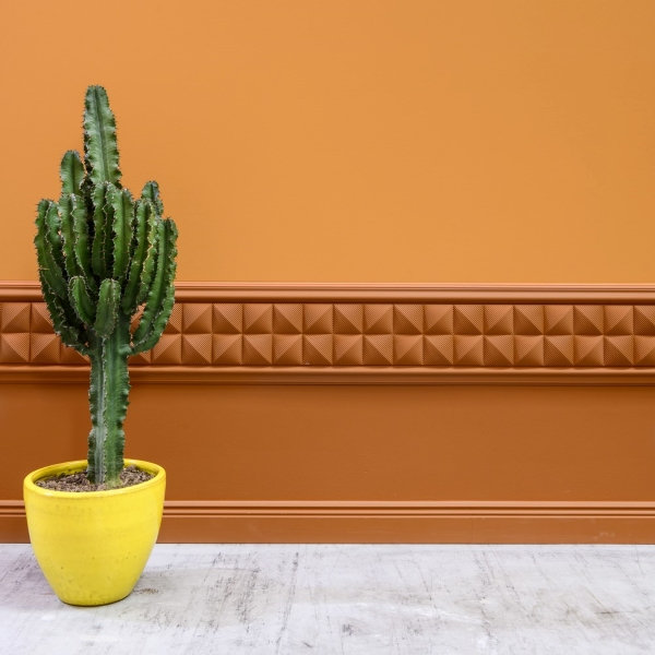 Duncanville 7cm H x 200cm W x 1.9cm D Urethane Crown