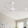 Kemp 52" 3 -ABS-Blade Propeller Modern Ceiling Fans no Light and with Remote Control