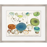 Modern Mushrooms 1 Print