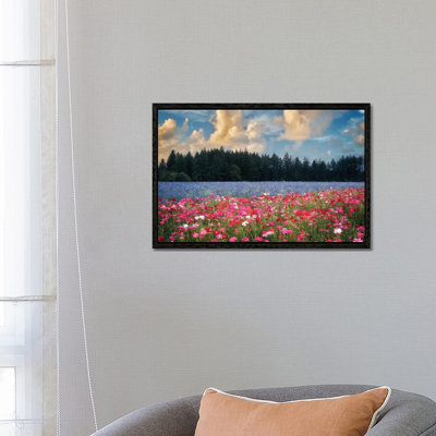 Flower Field Sunrise I by Dennis Frates - Print on Canvas