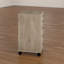 33.2 cm W 5 -Drawer Filing Cabinet-10163766
