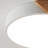 Metal and Wood LED Flush Mount Ceiling Light 6500K White-1798970194-1803618907