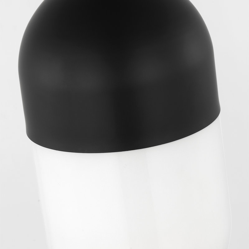 Luminaire suspendu moyen Foster, Nuit noire