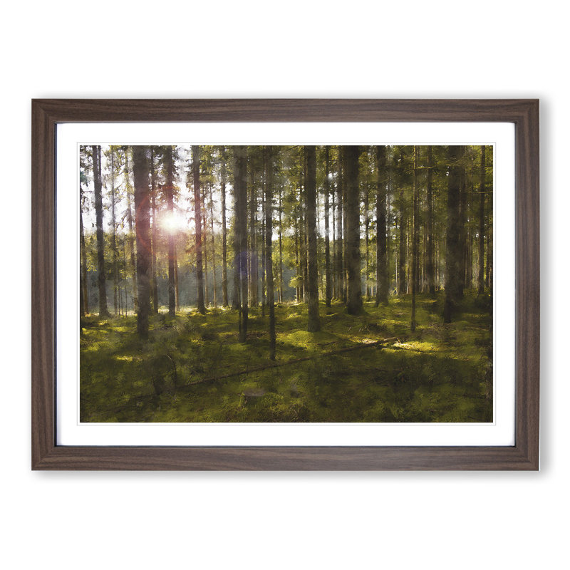 Sunlight Forest Vol.2 - Picture Frame Painting, Walnut Framed, 27cm H x 36cm W x 2cm D